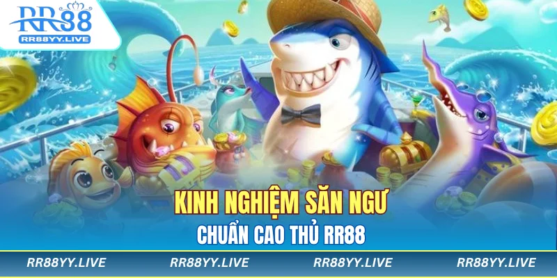 Kinh nghiệm săn ngư chuẩn cao thủ RR88