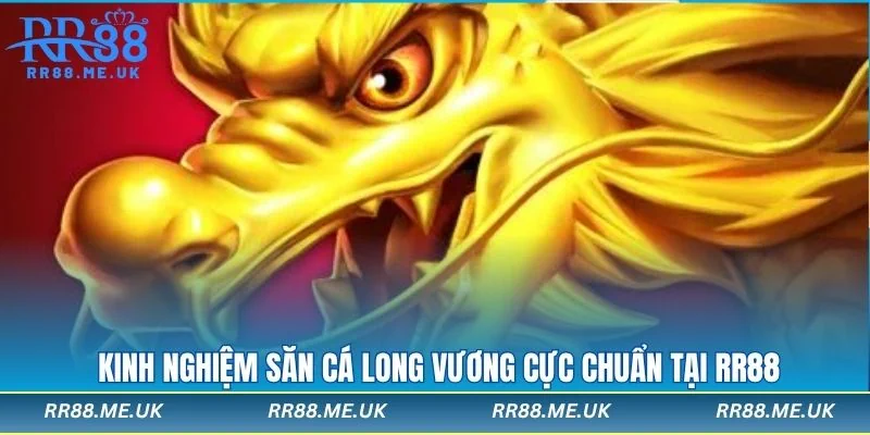 Mẹo chiến thắng cực lớn trong bắn cá long vương RR88