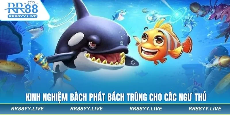 Nắm chắc mẹo chơi bắn cá Tài Lộc từ các cao thủ