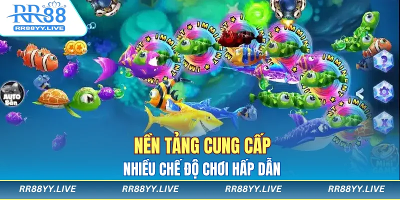 Nền tảng cung cấp nhiều chế độ chơi hấp dẫn