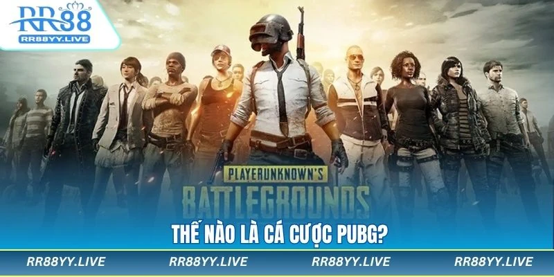 Tìm hiểu về cá cược PUBG tại RR88